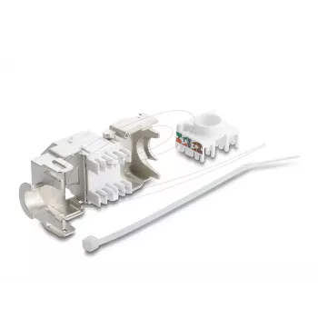 Delock 90938 Keystone modulis RJ45 uz LSA Cat.6A, 45 grādu leņķī, ekranēts, bez instrumentiem