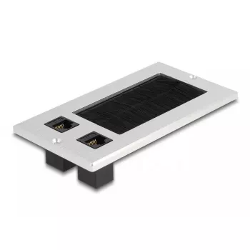 DeLOCK Kabeļu ieeja ar suku un 2 x RJ45 Keystone moduli Cat.6 alumīnijs