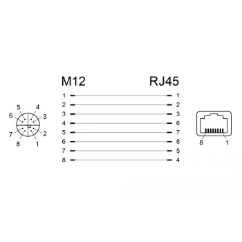 Pārejas adapteris DeLOCK 66316 M12 uz RJ45, melns