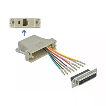 Dzimuma maiņas adapteris DeLOCK 65600