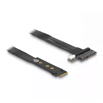 DeLOCK M.2 Key M uz U.2 SFF-8639 NVMe adapteris ar 20 cm kabeli