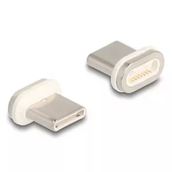 DeLOCK 66588 dzimuma mainītājs magnētiskais USB C zelta balts