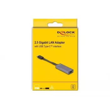 DeLOCK 66248 pārveidotājs RJ-45 USB C pelēks 0.09m