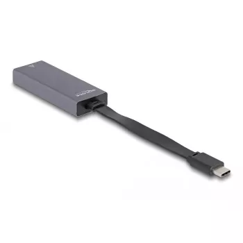 DeLOCK 66248 pārveidotājs RJ-45 USB C pelēks 0.09m