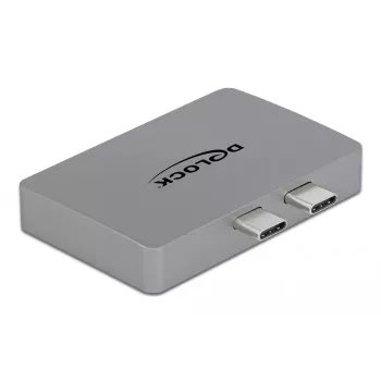 Delock 64001 Dual DisplayPort Adapter MacBook