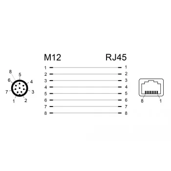 Dzimuma pārveidotājs DeLOCK 66315 M12 RJ45 Melns