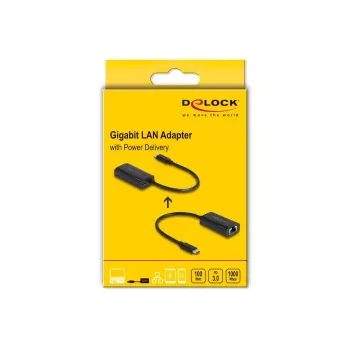 DeLOCK 61026 USB-C uz RJ45 dzimuma mainītājs, 0,17 m, melns