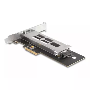 DeLOCK Mobile Rack PCI Express karte 1 x M.2 NVMe SSD Low Profile