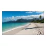 LCD iekštelpu displejs Sharp PN-UN553V 55 collu Full HD (1920×1080), IPS, 500 cd/m², 3500:1, VESA