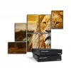 Matrox QuadHead2Go Q155 vairāku monitoru kontrolleris / Q2G-H4K2
