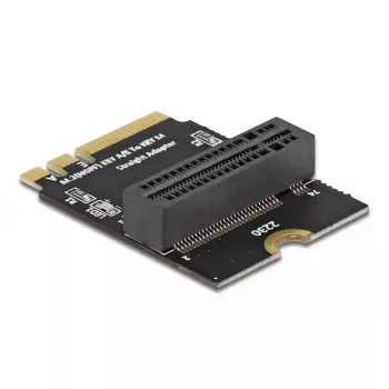 Adapter M.2 key A+E vīrietis uz key M slotu leņķis ar turētāju DeLOCK 64137