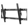 TV stiprinājums Peerless ST650P 190,5 cm (75 collas) Melns