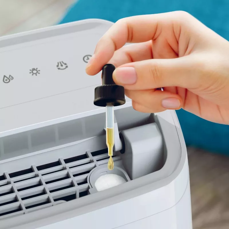 Philips 3000 sērijas DE3306/11 gaisa sausinātājs 4 L 51 dB Balts, Gaiši pelēks