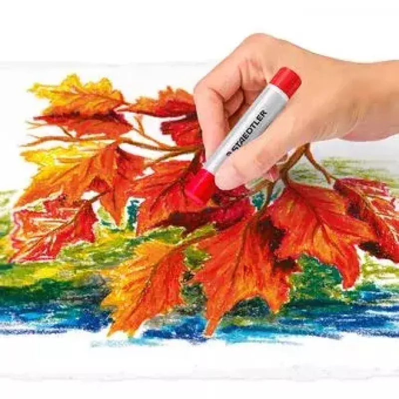 Eļļas pasteļi Staedtler 2420 Daudzkrāsaini 24 gab.