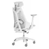 Spēļu krēsls Asus ROG Destrier Ergo Core White — sieta sēdeklis, 136 kg, 720 mm