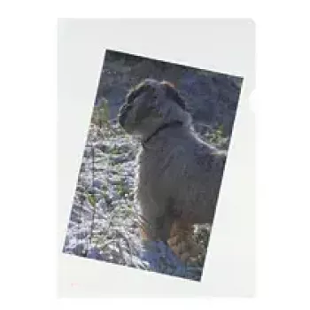 Herlitz 10843746 A4 caurspīdīgie dokumentu kabatiņu aizsargi, 100 gab.