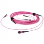 ACT 50 m multimode 50/125 OM4 (OM3) polaritātes B optiskās šķiedras maģistrālais kabelis ar 2 MTP/MPO ligzdām katrā galā