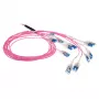 ACT 45 m multimodes šķiedras kabelis OM4 50/125, 24 šķiedras, LC Polarity Twist