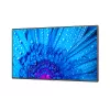 NEC MultiSync M491 digitālās izkārtnes plakanais panelis 124.5 cm (49 collas) IPS 500 cd/m² 4K Ultra HD Melns 24/7