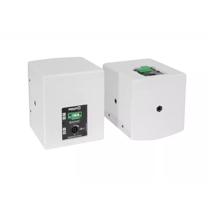 Pilna diapazona skaļrunis Omnitronic MOLLY-6 Balts Vīts 130 W