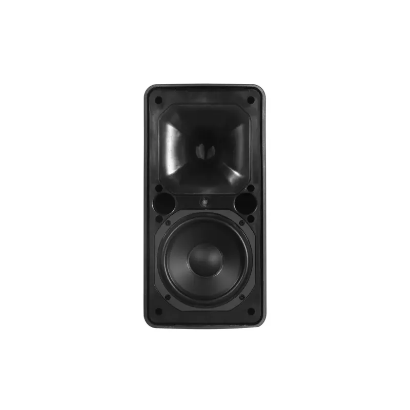 Divvirzienu skaļrunis Omnitronic 11036954 80 W