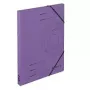 Kartona mape Violeta A4 Herlitz 11255452