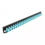 DeLOCK 19 inch priekšējais panelis Splice Box 24 porti LC Duplex akva