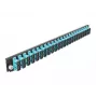Patch panel DeLOCK 43366 SC šķiedru 19 inch 1U