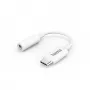 Hama 00201524 audio kabelis USB-C uz 3.5mm balts