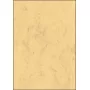Mākslas papīrs Sigel DP553 50 loksnes Bēšs 200 g/m²