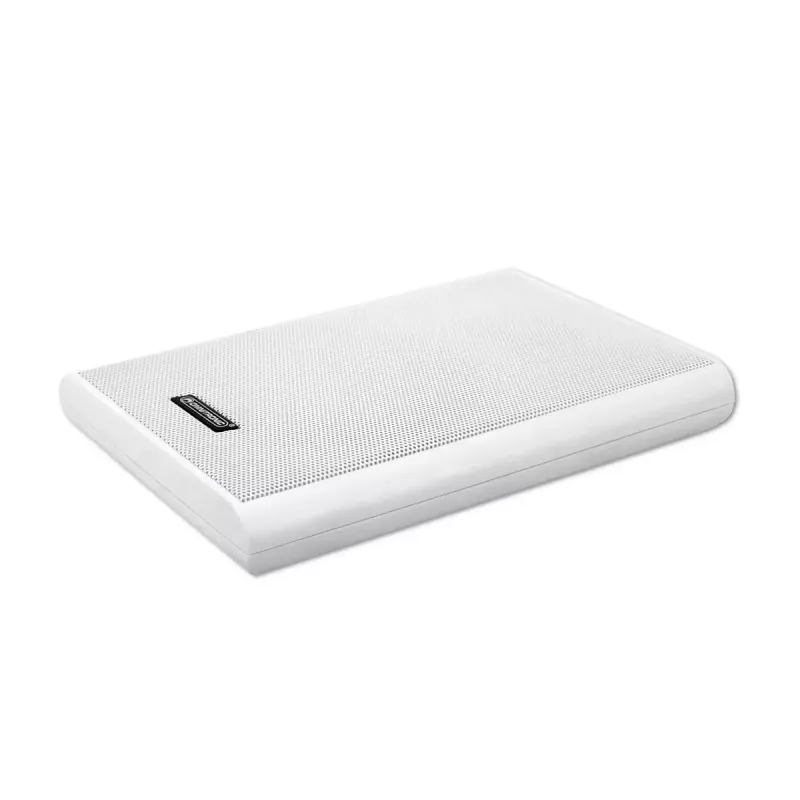 Divvirzienu skaļrunis Omnitronic 80710550 Balts Vadu 20 W