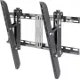 TV stiprinājums SpeaKa Professional SP-3957092 160 cm (63 collas) Melns