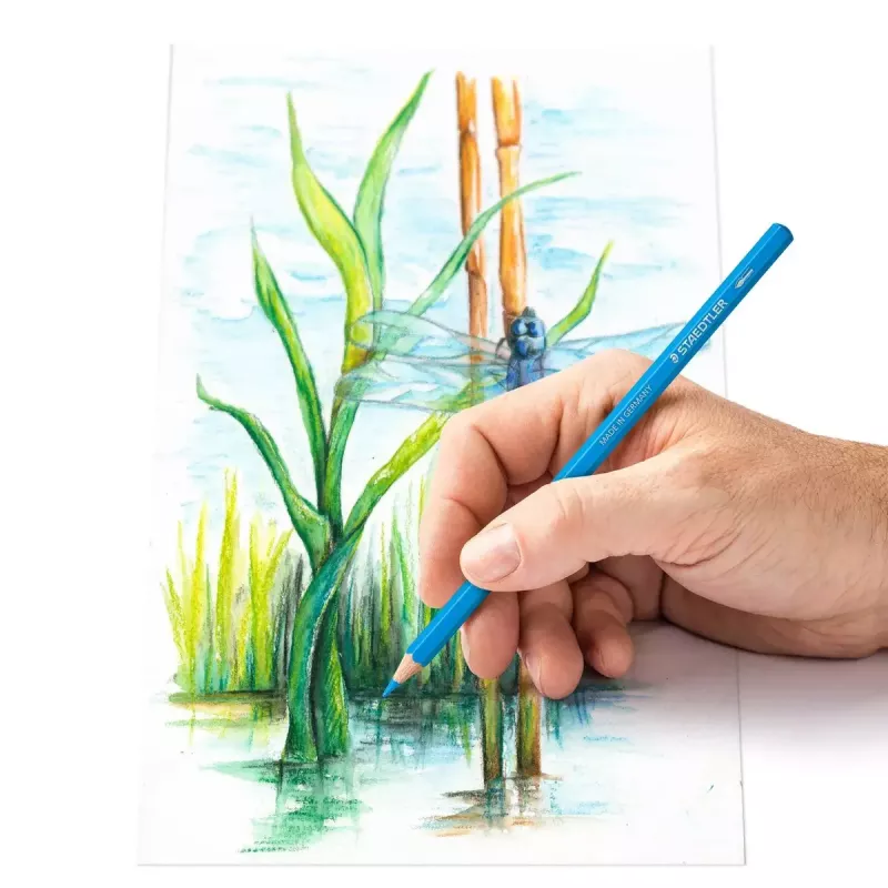 Krāsainie zīmuļi Staedtler 146 10C Multicolour 12 gab.