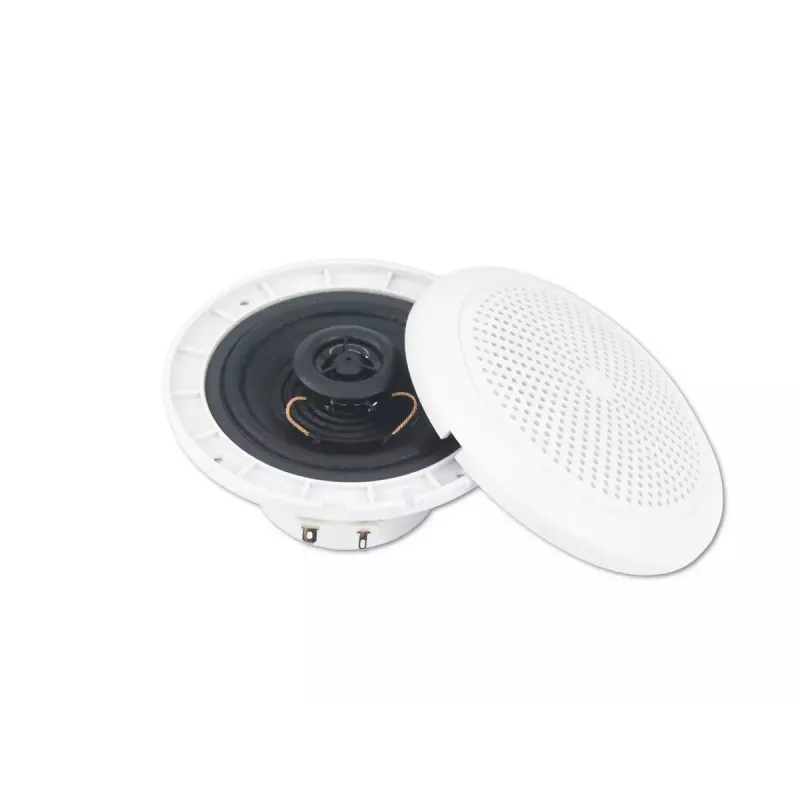 Divvirzienu skaļrunis Omnitronic 80710863