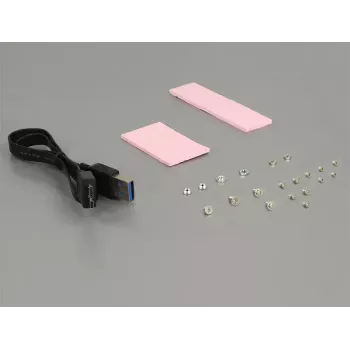 DeLOCK 62731 Iekšējais USB 3.2 Gen 1 adapteris M.2/mSATA SSD
