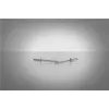 Aklā kniede GESIPA 1433486 Alumīnijs/Tērauds 8 mm galva 4 mm kāts 8 mm garums