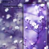 Rūdīta stikla ekrāna aizsargs Kapsolo iPhone 13 / iPhone 14 Max — izliekts 9H, der līdz 15,5 cm (6,1 collu)