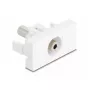 DeLOCK 90848 sienas kontaktligzda 2 x 3,5 mm vīrišķā, balta