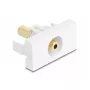 DeLOCK 90843 kontaktligzda 2 x 3,5 mm kabeļa savienotājs Balts