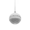 2-virzienu skaļrunis Omnitronic 80710429