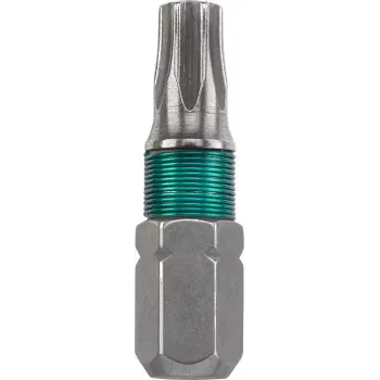 KWB Inox uzgalis Torx T25 25mm 1gab