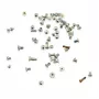 CoreParts MSPP73437 skrūvju komplekts sudraba krāsā Apple iPhone 6S remontam