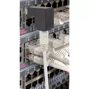 Dzimuma mainītājs Renkforce RF-4087416