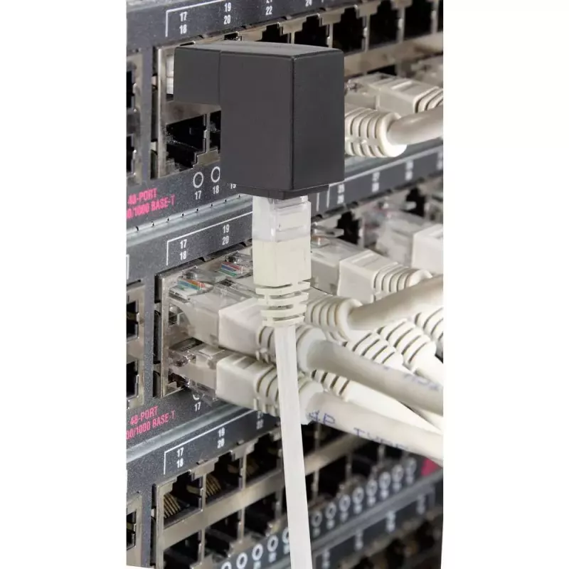 Dzimuma mainītājs Renkforce RF-4087416