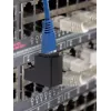 Dzimuma pārveidotājs Renkforce RF-4087413