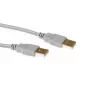 ACT USB 2.0 A vīriešu - A vīriešu ziloņkaula 3.00 m SB2503