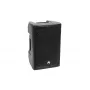 Pilna diapazona skaļrunis Omnitronic 11038761 100 W