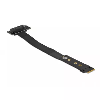 DeLOCK 64135 M.2 Key M uz U.2 SFF-8639 NVMe adapteris