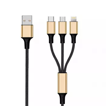 USB kabelis 2GO 797152 3m USB B USB C/Micro-USB B/Lightning Melns Zelts