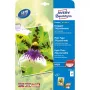 Inkjet Papīrs Avery Premium A4 250g Balts Satīna Matēts